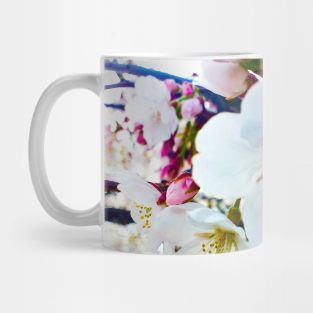 Photography - Vintage sakura Mug